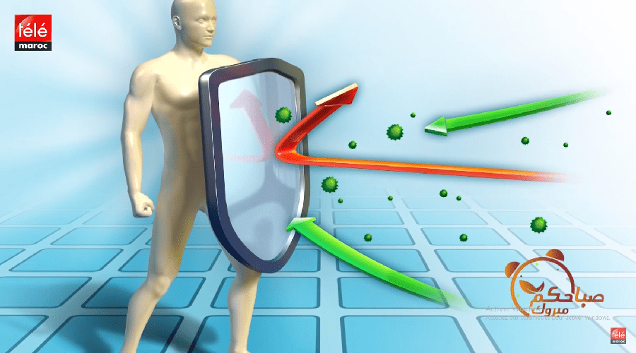 نصائح لتقوية جهاز المناعة مع الدكتور مصطفى النودالي